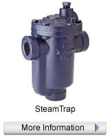 Steam trap